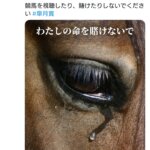 動物愛護団体が発表したポスターが衝撃的 「競馬はギャンブルではなく、卑怯な臆病者がやることです」